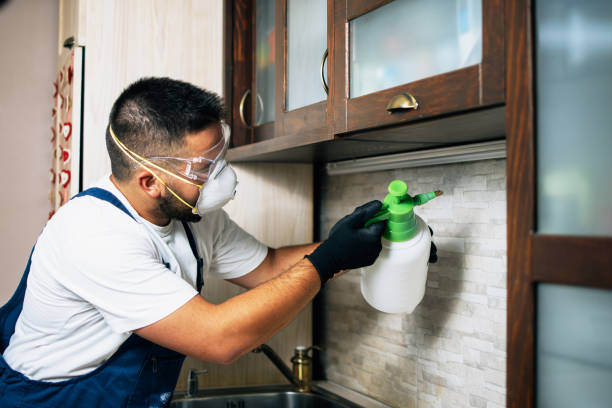 Best Pest Control Near Me  in Utica, OH