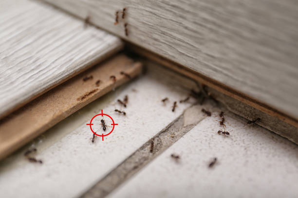 Best Commercial Pest Control Services  in Utica, OH