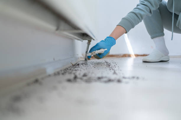 Best Local Pest Control Services  in Utica, OH