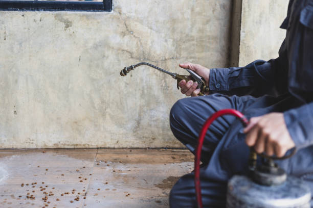 Best Affordable Pest Control Services  in Utica, OH