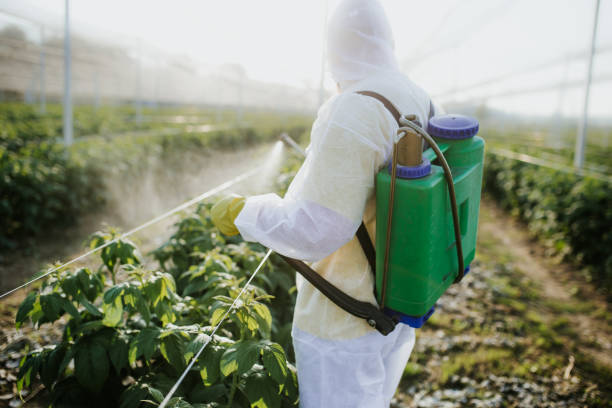 Best Termite Control Services  in Utica, OH